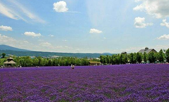 企業(yè)郵箱 企業(yè)郵箱